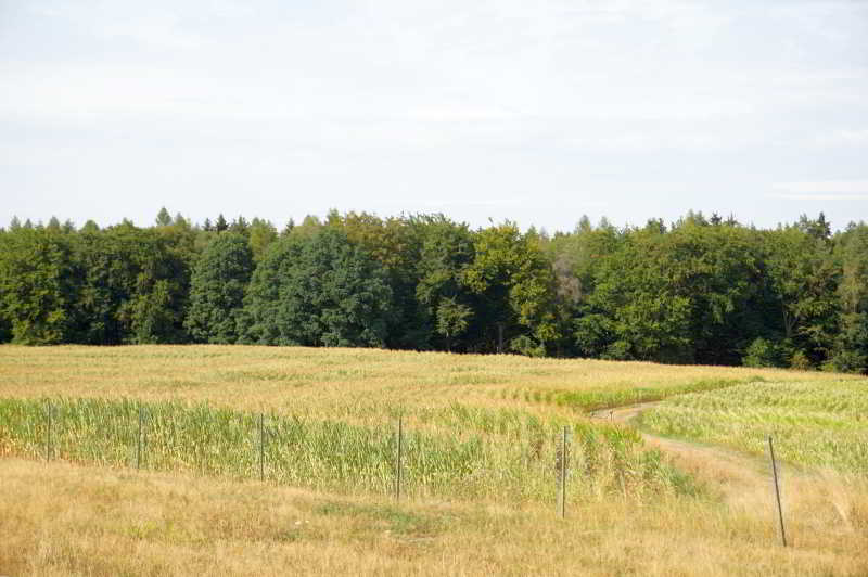 Wohnmobilstellplatz Lucky-Stable-Ranch Wohnmobilstellplatz Lucky-Stable-Ranch