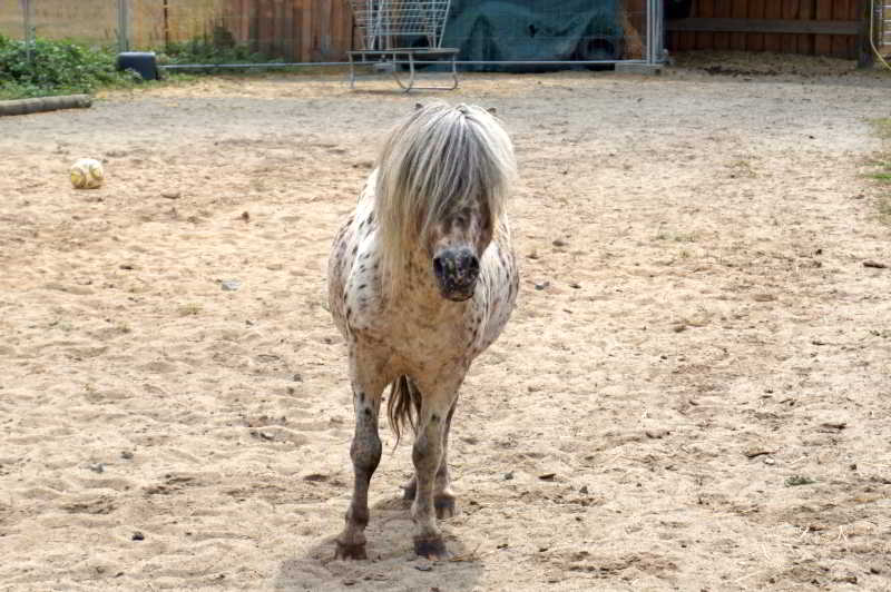 Wohnmobilstellplatz Frankenwald Bauernhof Wohnmobilstellplatz Frankenwald Bauernhof