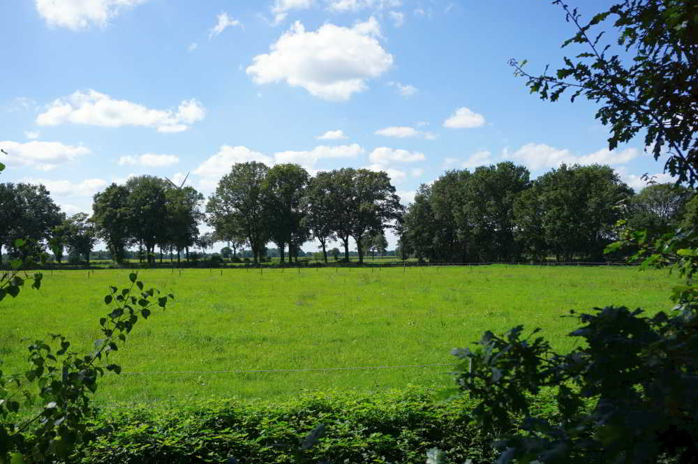 Wohnmobilstellplatz am Badesee Karlshof in Westerstede Wohnmobilstellplatz am Badesee Karlshof in Westerstede