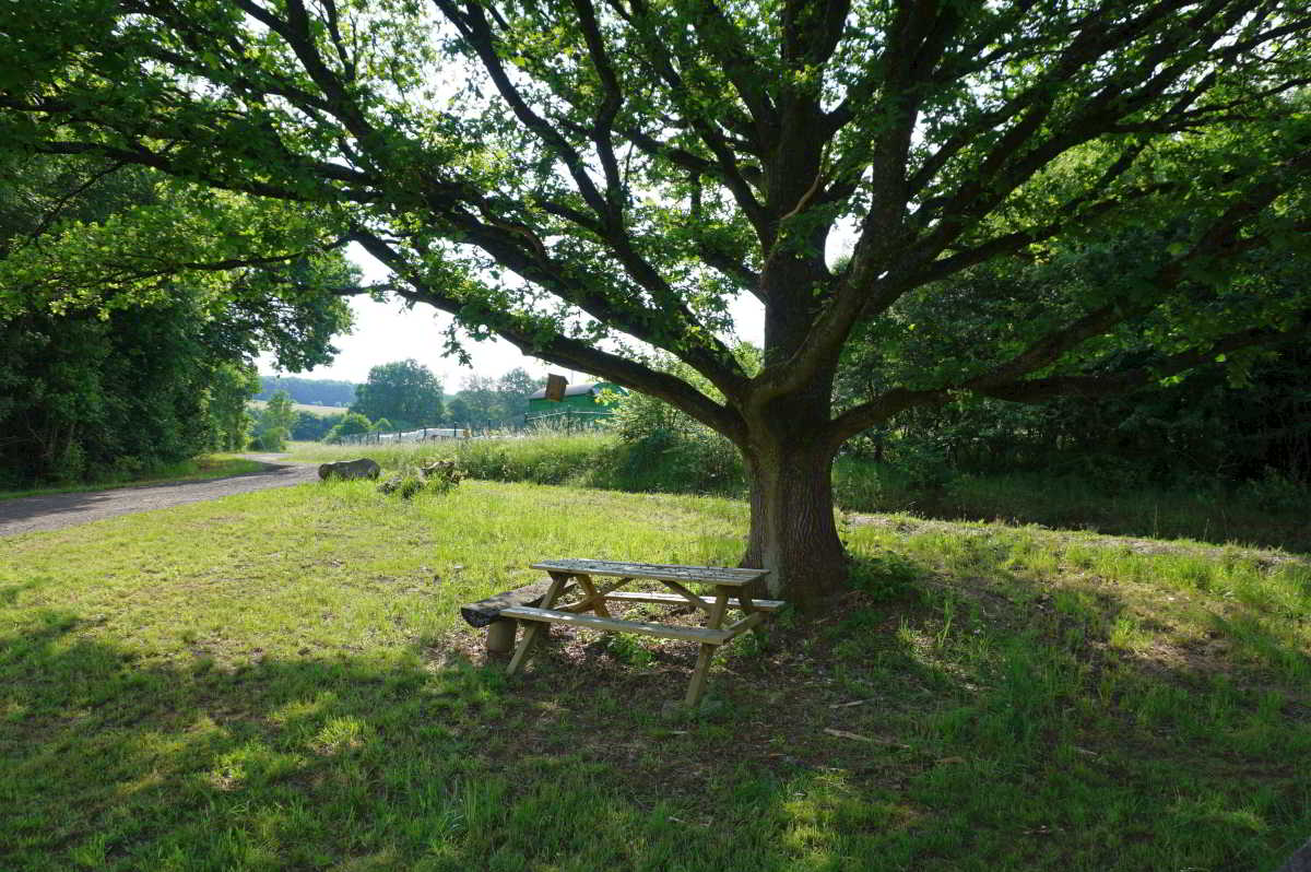 Wohnmobilstellplatz Sportplatz Jettenbach Wohnmobilstellplatz Sportplatz Jettenbach