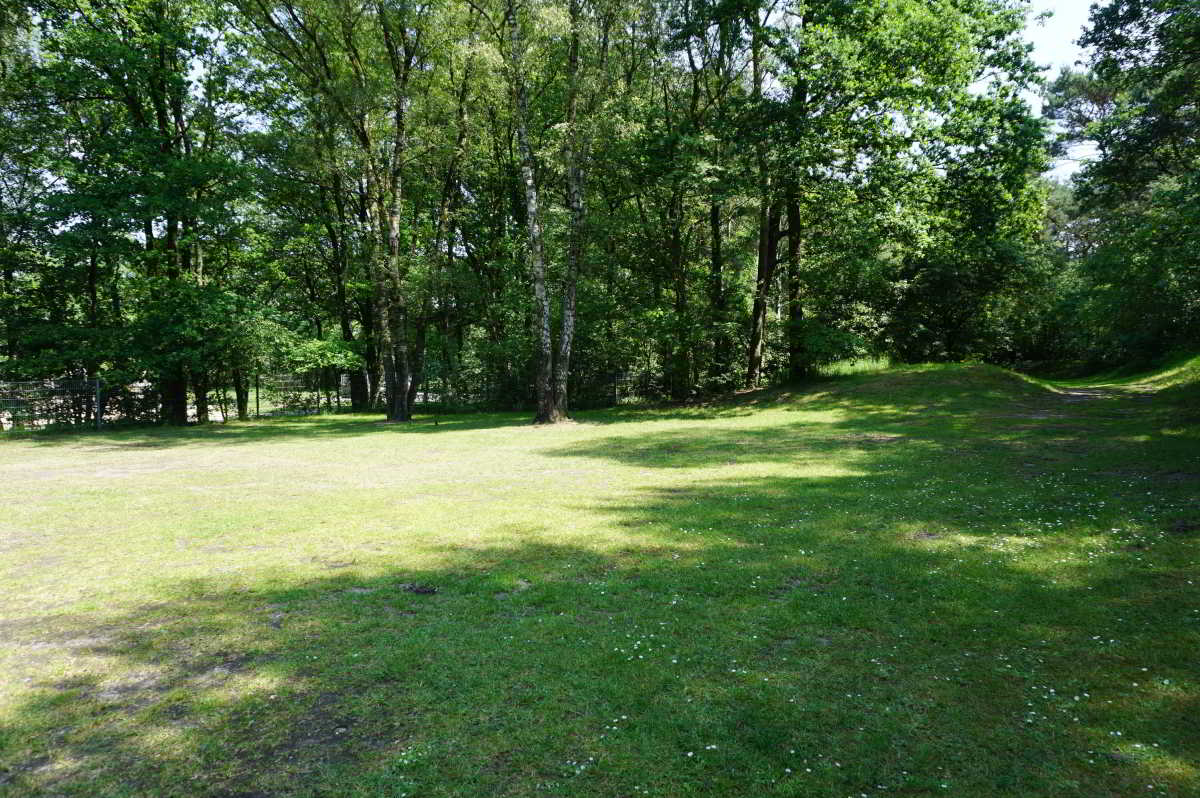 Waldcampingplatz der Gemeinde Uelsen Waldcampingplatz der Gemeinde Uelsen
