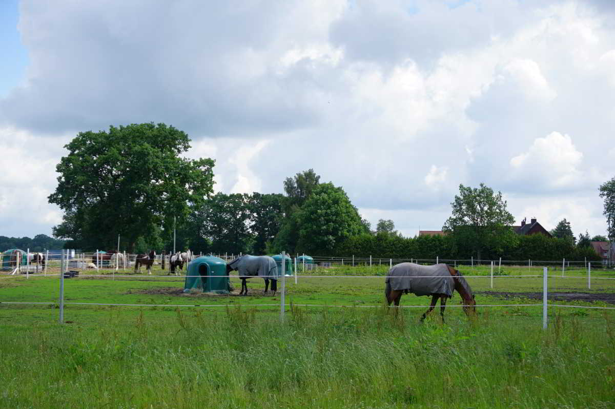 Wohnmobilstellplatz bei Schulte-Lind in Papenburg Wohnmobilstellplatz bei Schulte-Lind in Papenburg