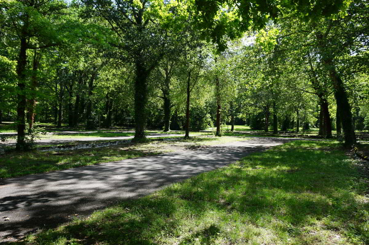 Wohnmobilstellplatz am Rheinstrandbad Wohnmobilstellplatz am Rheinstrandbad