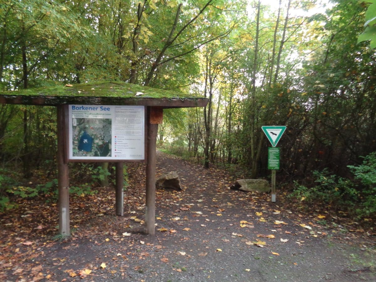 Wohnmobilstellplatz am Naturbadesee Stockelache Wohnmobilstellplatz am Naturbadesee Stockelache