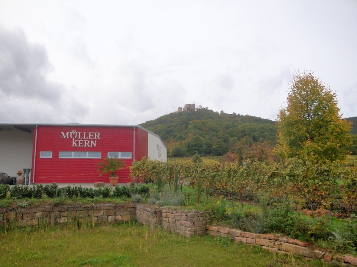 Wohnmobilstellplatz am Weingut Müller-Kern Wohnmobilstellplatz am Weingut Müller-Kern