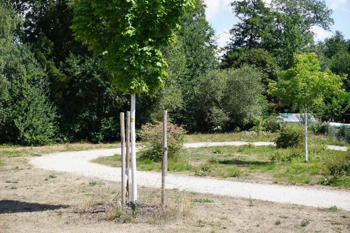 Wohnmobilstellplatz am Behälterweiher Wohnmobilstellplatz am Behälterweiher
