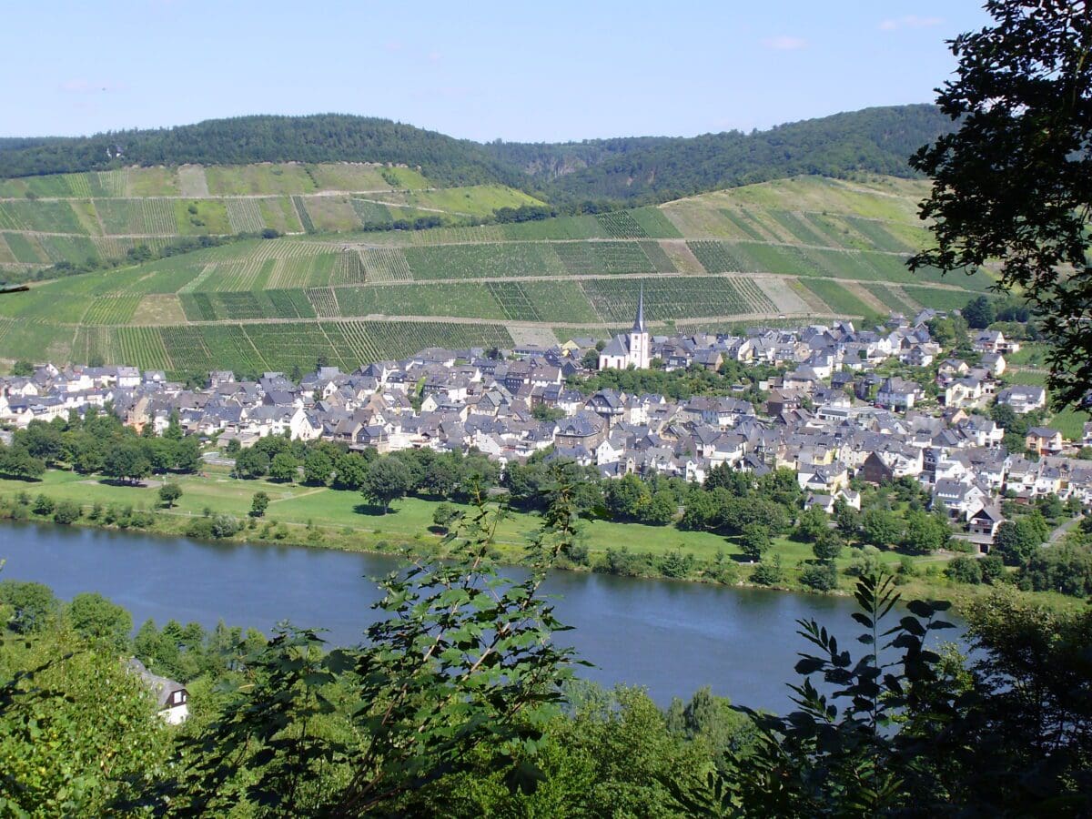 Wohnmobilstellplatz Enkirch