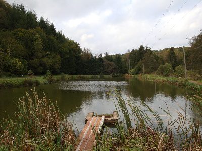 Wohnmobilstellplatz an der Stampermühle Wohnmobilstellplatz an der Stampermühle
