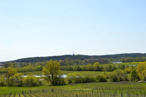 Wohnmobilstellplatz am Klosterhof Töplitz