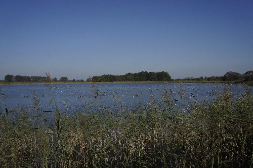 Wohnmobilstellplatz am Teichland-Linum Wohnmobilstellplatz am Teichland-Linum